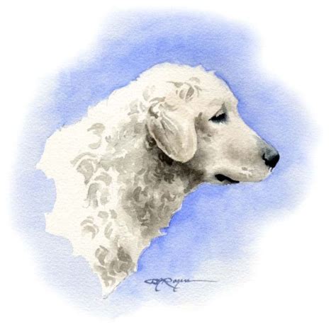 Kuvasz Dog Watercolor Painting Art Print Signed By Artist Dj Dog