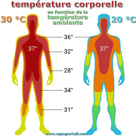 température corporelle définition et explications