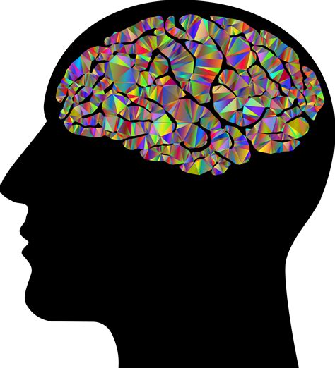 Human Head Png Transparent Background Human Mind Clear Background