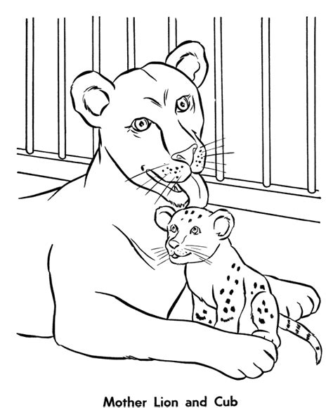 Zoo Animal Coloring Page Female Lion And Her Cub Coloring Page