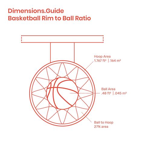 Nba Basketball Court Height Borealist
