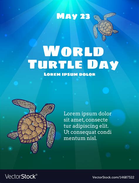 World Turtle Day May 23 Royalty Free Vector Image