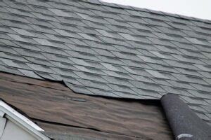 How To Properly Maintain A Shingle Roof AVANT ROOFING