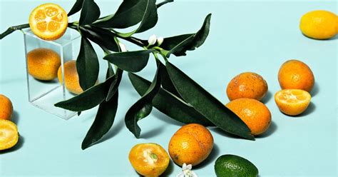 jetzt in saison kumquats richtig kaufen lagern und zubereiten stories kitchen stories