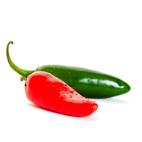 Heirloomsupplysuccess Heirloom Mild Jalapeno Pepper Seeds Etsy