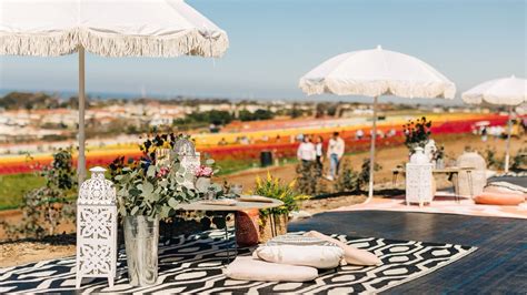 Heres Your Charming Chance To Picnic At The World Famous Flower Fields