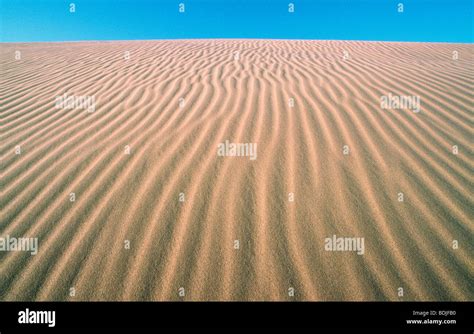 Sand Dune Desert Stock Photo Alamy