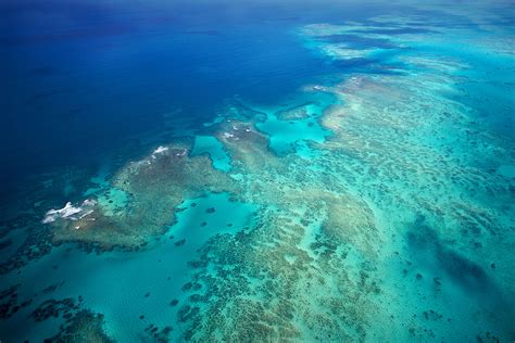 Great Barrier Reef Nature S Sunken Garden Tropical North QLD