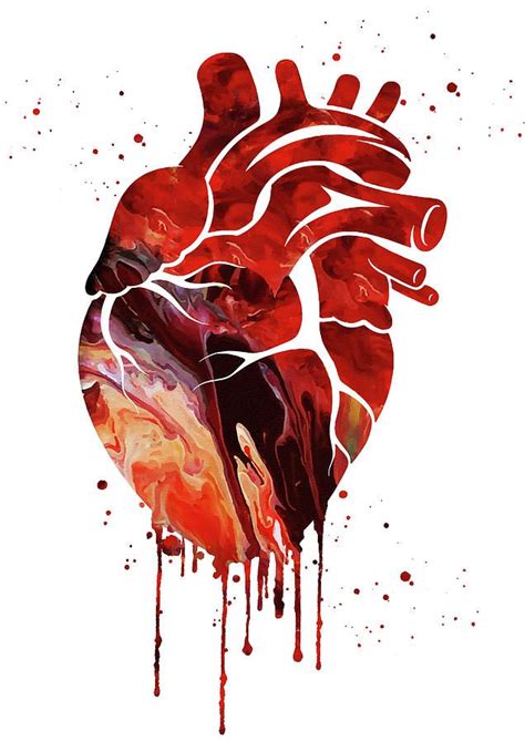 Human Heart 3 By Erzebet S Human Heart Art Anatomical Heart Art