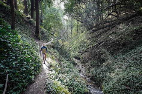 Discover Berkeley Countys Hidden Gem A Haven For Nature Lovers And Outdoor Enthusiasts