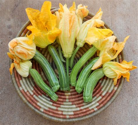 We buy all your fruit and veg from local and interstate farms. A Kihei Garden Cuisine: Italian Zucchini Favorites of 2011