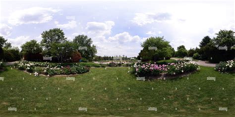 Klehm Arboretum Fountain Garden Peonies Rockford Illinois Usa Hi Res