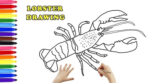 How To Draw A Lobster Easy Step By Step Lobster Drawing Youtube