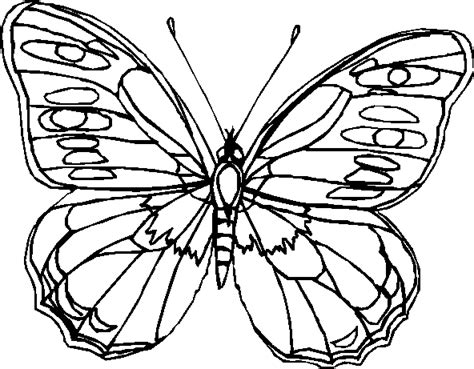 Disegni Farfalle 8 Disegni Per Bambini Da Stampare E Colorare By