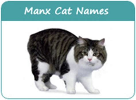 Are your preparing for adopting a brother or sister pair of kittens in the near future? Manx Cat Names, Cat Names of Manx Breed, Page 1