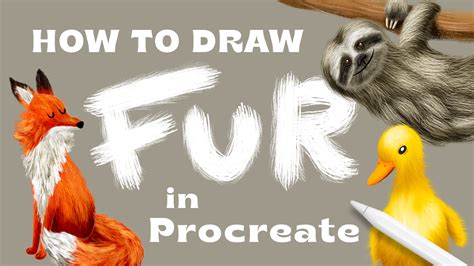 How To Draw Fur In Procreate • Bardot Brush