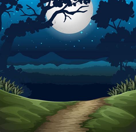 Forest At Night Scene 292159 Vector Art At Vecteezy