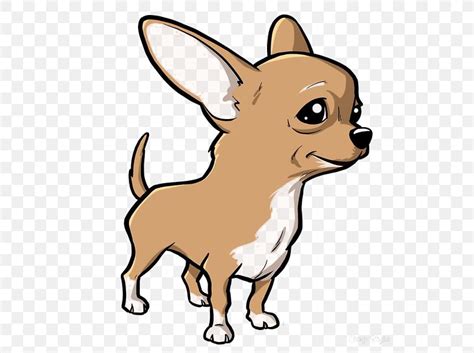 Chihuahua Puppy Drawing Cartoon Image Png 564x611px Chihuahua