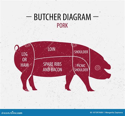 Corte Del Cerdo Diagrama Para Los Ultramarinos Carne Del Carnicero Del