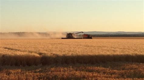 Farmers To Cooperate With Bhp Billiton Amid Feud Over Caroona Coal Project On Liverpool Plains