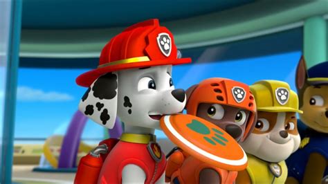 Paw Patrol Full Episodes Cartoon Movies 2016 For Kids English