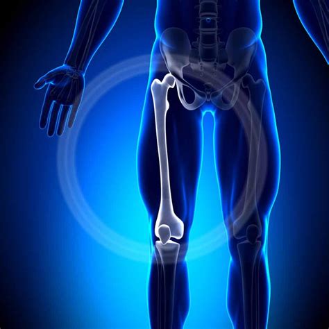 Bone Health Exercise Femur And Leg Strengthener Save Our Bones