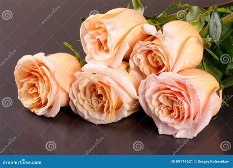 Five Fresh Beige Roses On A Dark Wooden Background Stock Image Image