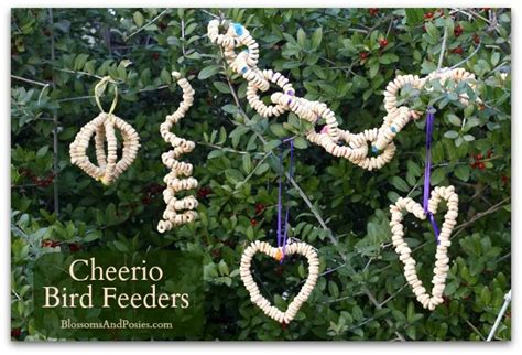 Bird Feeders Make Put A Cheerio On A Pipe Cleaner Then She Can Make These Bird Feeders