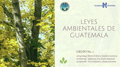 Libro De Leyes Ambientales De Guatemala By Liliam Tiu Issuu