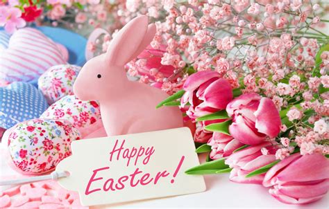 Wallpaper Flowers Easter Tulips Happy Pink Flowers Tulips Spring