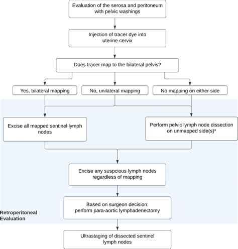 Key Steps Of A Standard Sentinel Lymph Node Algorithm In Endometrial