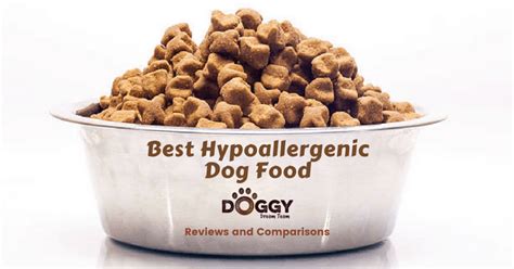 Best Hypoallergenic Dog Food For Uk Dog Owners