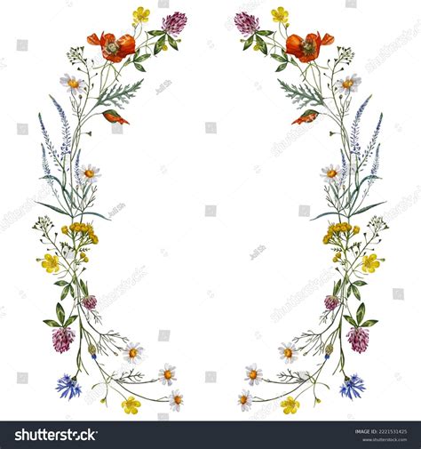Wildflowers Frame Watercolor Floral Border Greeting Stock Illustration
