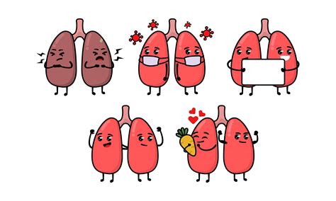 Cute Lungs Organ Cartoon Illustration Graphic By Guavanaboy · Creative