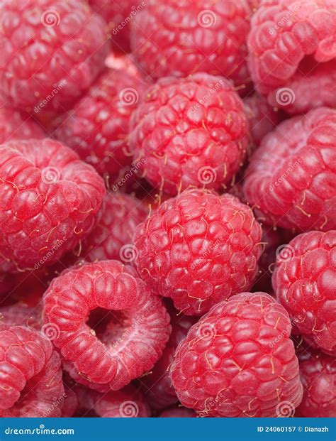 Raspberry Background Stock Image Image Of Juicy Diet 24060157