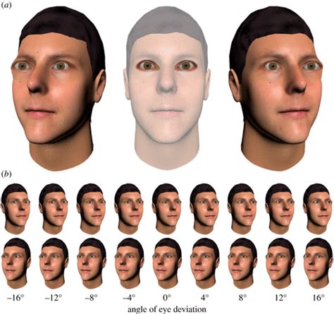 Perceptual Integration Of Head And Eye Cues To Gaze Direction In