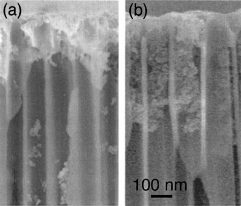 Scanning Electron Microscopy Micrographs Of An Aluminum Oxide Membrane