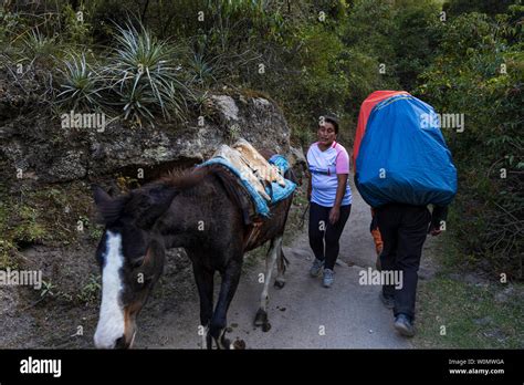 Porters Carrying Heavy Loads On The Inca Trail Day One Km82 To