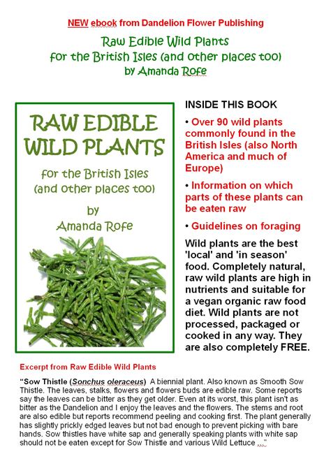Raw Edible Plants Raw Edible Wild Plants