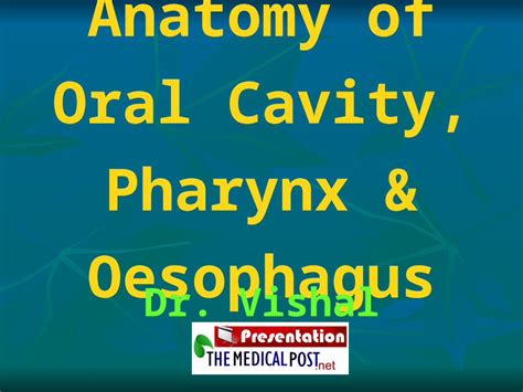 Ppt Anatomy Of Oral Cavity Pharynx Oesophagus Powerpo
