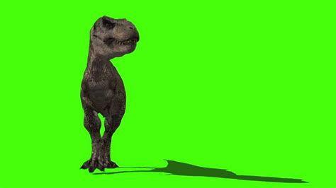 Jurassic Park T Rex Roars And Bites Animation Royalty Free Green Screen