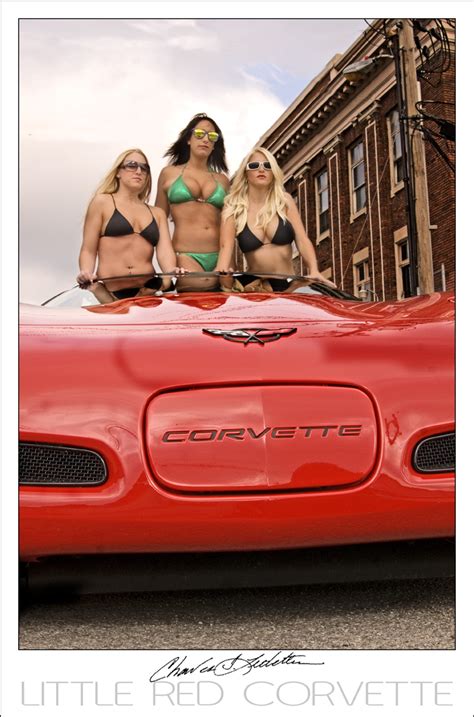 corvette babes on a roll corvette forum corvette forums