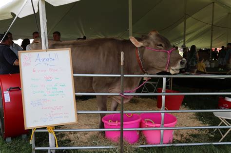 Kids Cow Lovebotf 2016 Kewaunee County Dairy Promotion