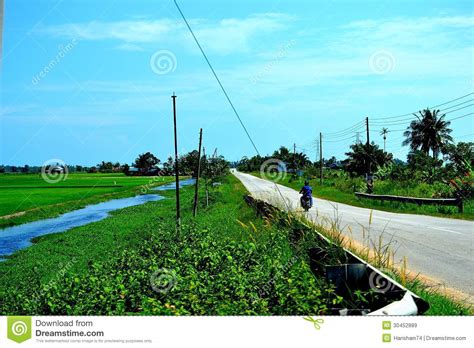 Although rural areas have been the focus of great development, they still lag behind areas such as the west coast of peninsular malaysia. Malaysia Rural Area Editorial Stock Image - Image: 30452889
