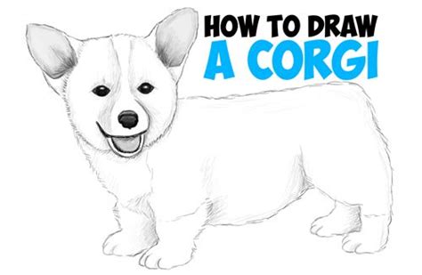 Our beginner guide will walk you through how to draw a dog, plus bonus tips on making your drawing more realistic. How to Draw a Corgi Puppy Easy Step by Step Realistic Drawing Tutorial for Beginners | Dog ...