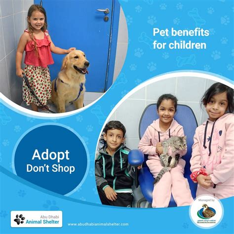 Abu Dhabi Animal Shelter Animal Shelter Dog List Pet Benefits