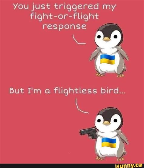 You Just Triggered My Fight Or Flight Response I M Flightless Bird Ifunny