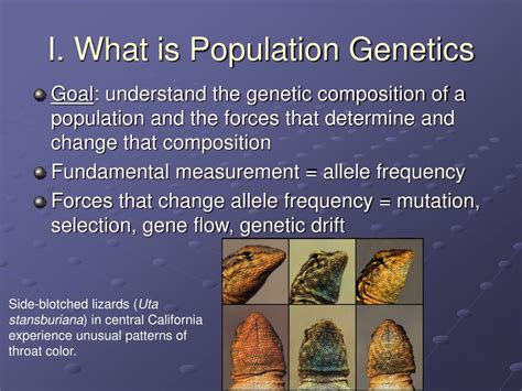 Genetics Of Populations