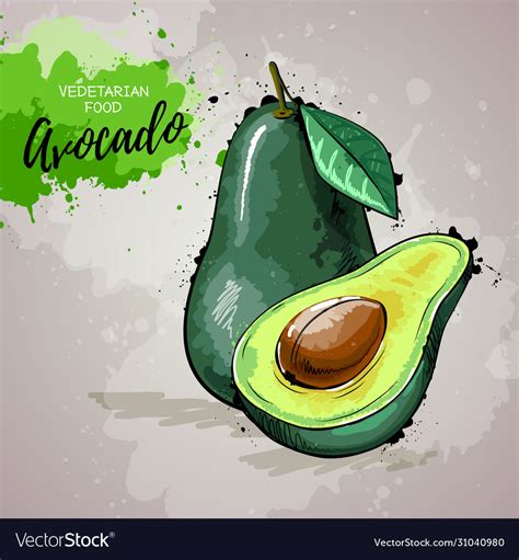 Hand Drawing Artistic Avocado Royalty Free Vector Image