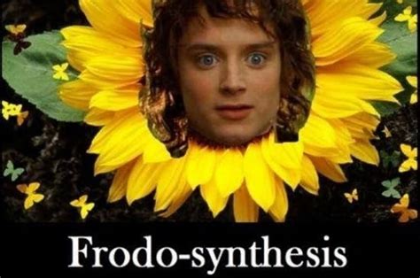Funniest Lord Of The Rings Memes That Only Its True Fans Will Understand Riset